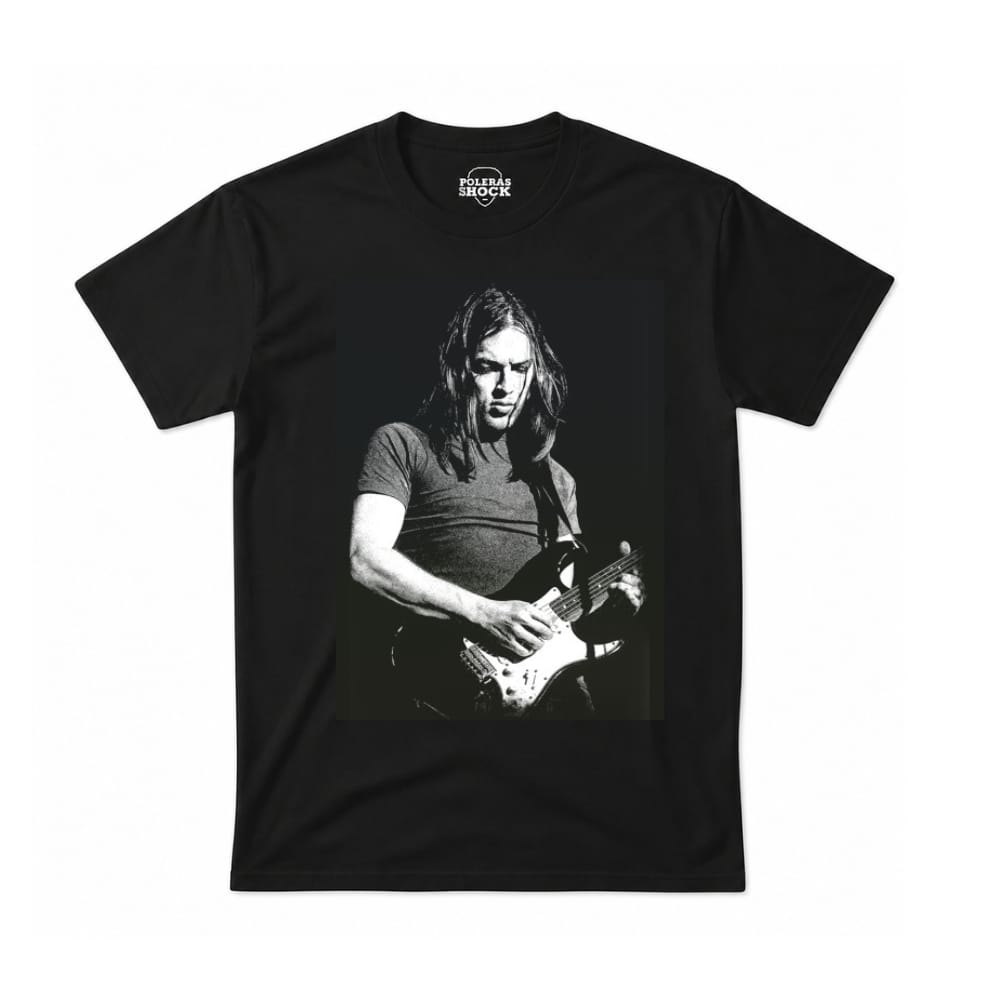 David Gilmour