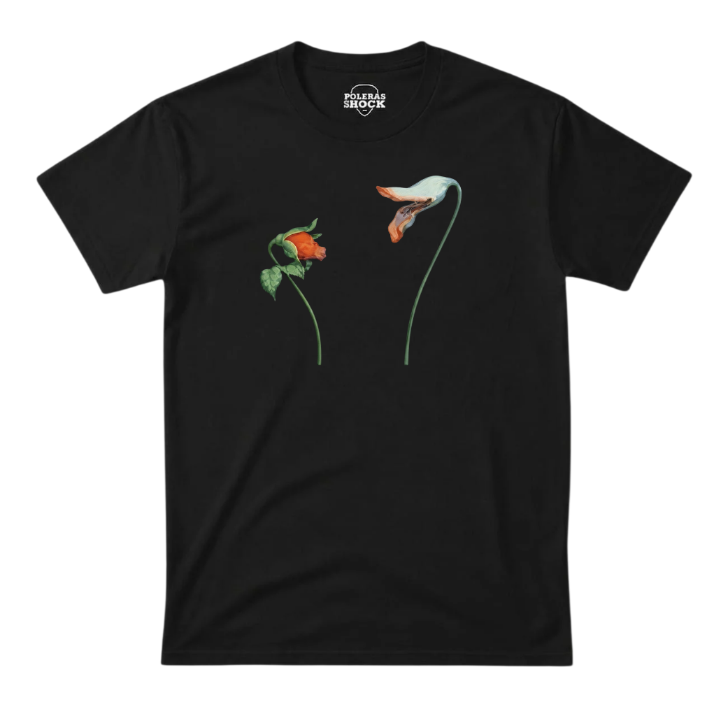 Polera MC Negra Pink Floyd Empty Spaces