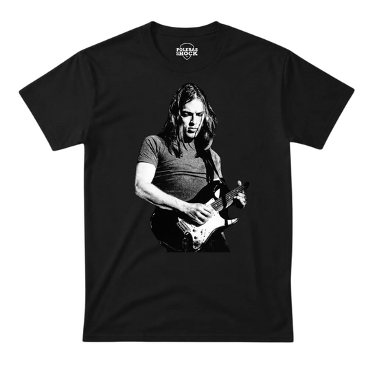 David Gilmour